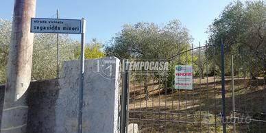 Indipendente Segasidda MinorI