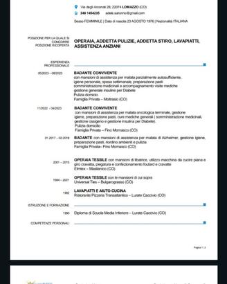 Badante ,colf,pulizie,operaia generica