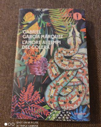 libro: l'amore ai tempi del colera 
