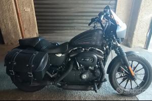 Coppia Borse Harley Davidson