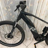 Ebike Raymond 29 xl