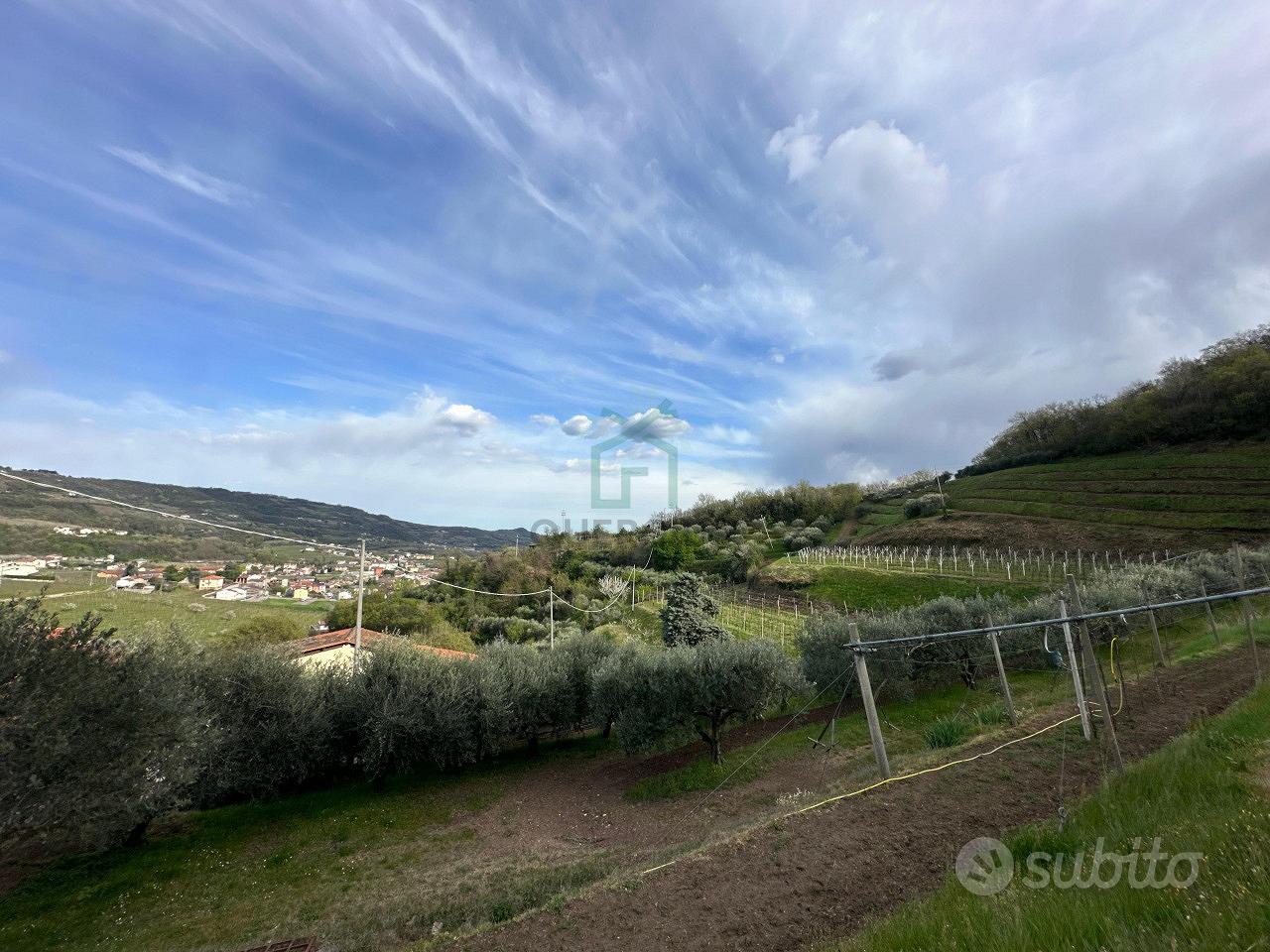 Terreno a Roncà (VR) - Altro