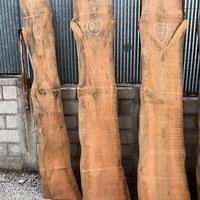 Tavole stagionate di Cedro Atlantico