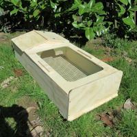 Terrario per tartarughe 80x40x20 Lati Chiusi