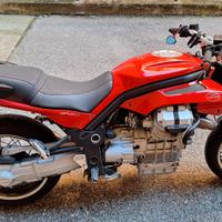 Guzzi Griso 850cc