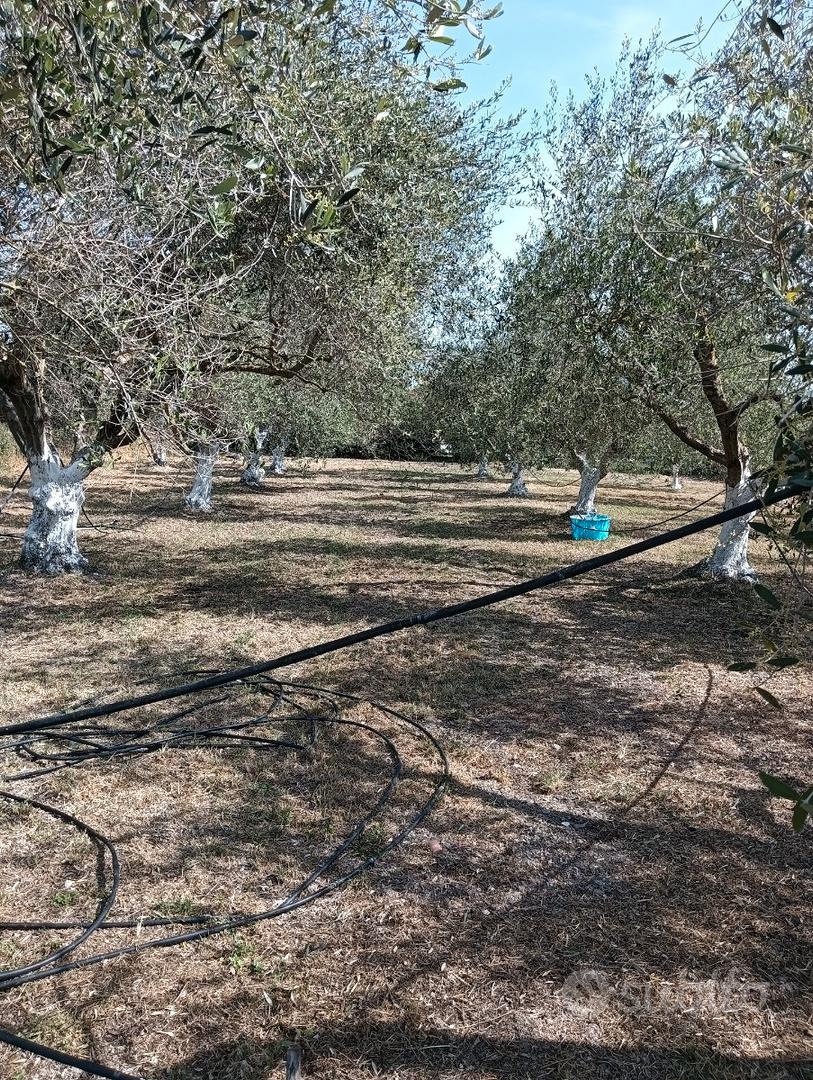 Appezzamento di terreno non edificabile - Vista 5