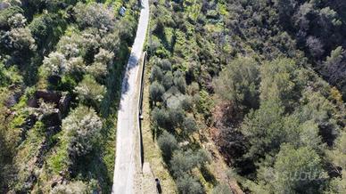 TER. AGRICOLO A SAN BIAGIO DELLA CIMA