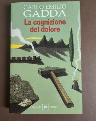 La cognizione del dolore Carlo Emilio Gadda