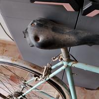 Bianchi condorino