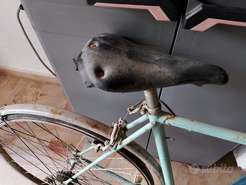 Bianchi condorino