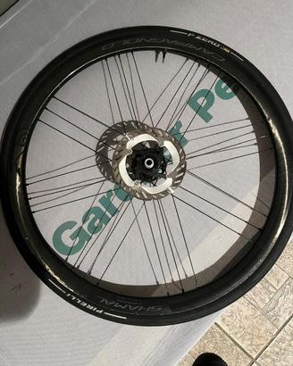 Campagnolo Ruote