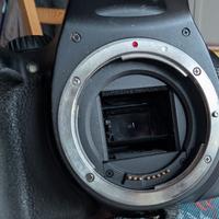 Fotocamera reflex Canon EOS 550D