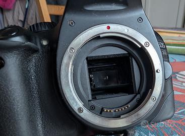 Fotocamera reflex Canon EOS 550D