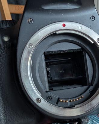 Fotocamera reflex Canon EOS 550D