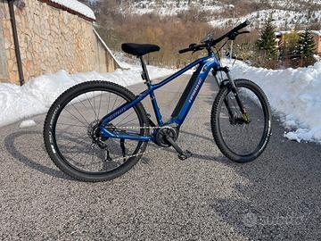 Bici assistita HAIBIKE All Track