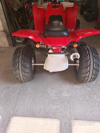 Quad Adly Her Chee 300s