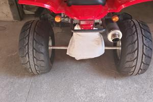 Quad Adly Her Chee 300s