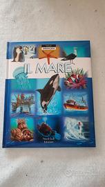 libro ragazzi su Il mare Nord sud edizioni. Nuovo