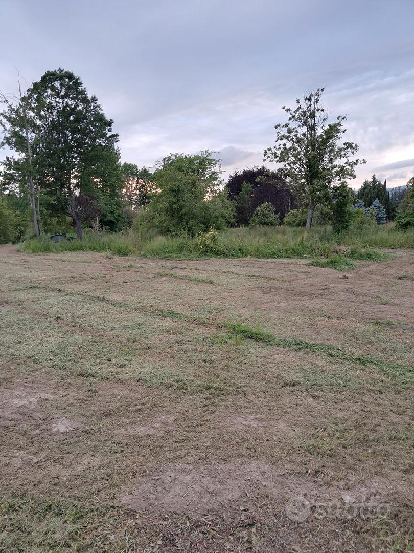 Terreno per uso vivaistico - Vista 4