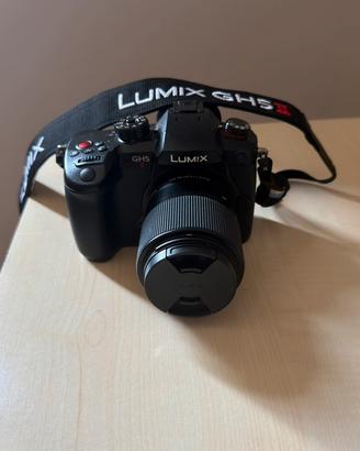 Panasonic lumix gh5 m2