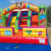 gonfiabile professionale 