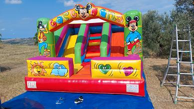 gonfiabile professionale 