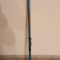 Canna da pesca Daiwa