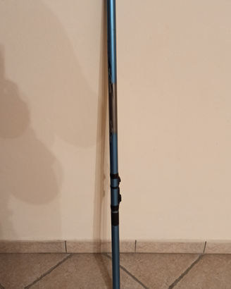 Canna da pesca Daiwa