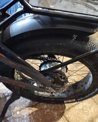 Bicicletta elettrica