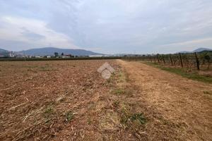 TERRENO A CAPRIOLO