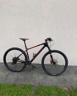 Mtb Focus raven 29 in carbonio