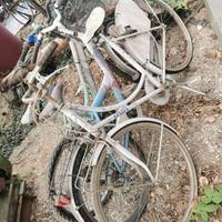 biciclette usate varie taglie