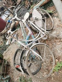biciclette usate varie taglie