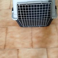 trasportino per auto cane taglia media