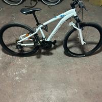 Bicicletta da passeggio
