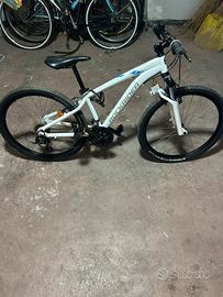 Bicicletta da passeggio