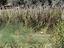 Immagine 23