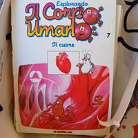 IL CORPO UMANO
