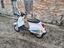 Immagine 3