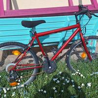bicicletta mountainbike