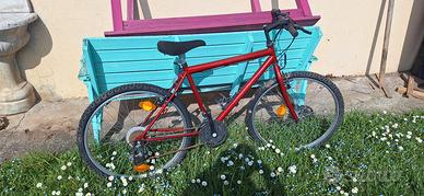 bicicletta mountainbike