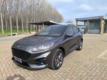 Ford Kuga 2.5 Plug In Hybrid 225 CV CVT 2WD ST-Lin