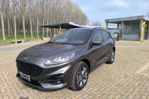 Ford Kuga 2.5 Plug In Hybrid 225 CV CVT 2WD ST-Lin