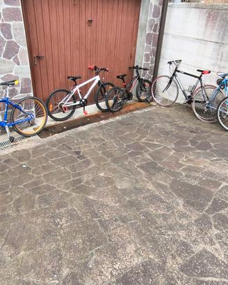 Lotto Biciclette: Atala Vintage Campagnolo e altre