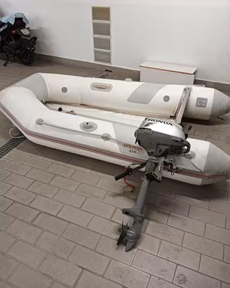 gommone Dolphin 250 Liguria