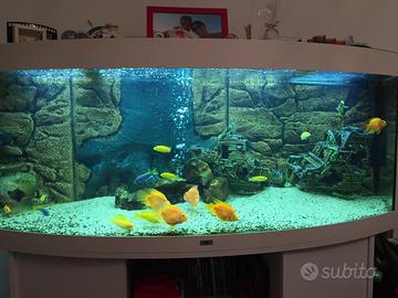 Acquario e mobile Vision 450 Litri -marca   Juwel