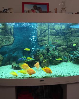 Acquario e mobile Vision 450 Litri -marca   Juwel
