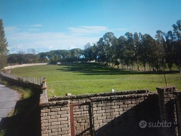 terreno 4 ettari Roma nord 