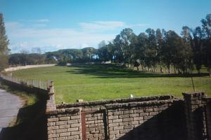 terreno 4 ettari Roma nord 