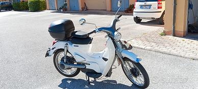 Motron Cubertino - 2024